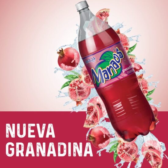 Granadina Manaos 3L Envase descartable - Image 3